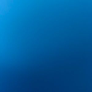 Meet your Posher, Jesse